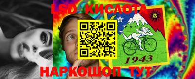 спиды Бузулук