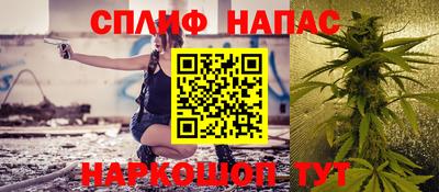 крисы Будённовск