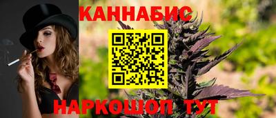 крисы Будённовск