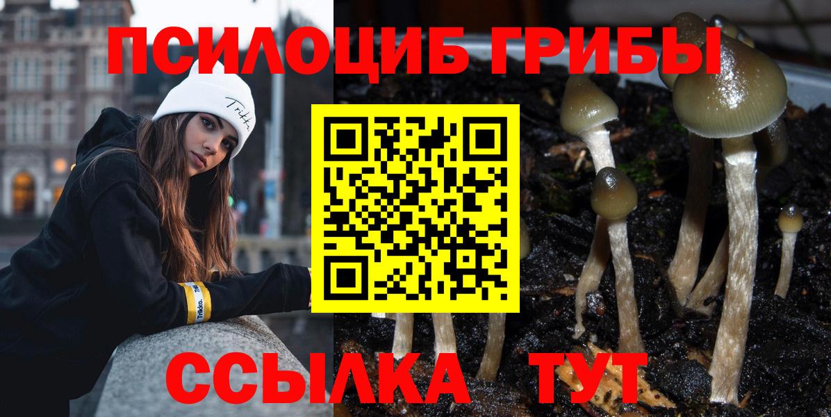 Галлюциногенные грибы GOLDEN TEACHER  Псилоцибиновые грибы MAGIC MUSHROOMS  Вход с VPN  хочу   Трёхгорный 