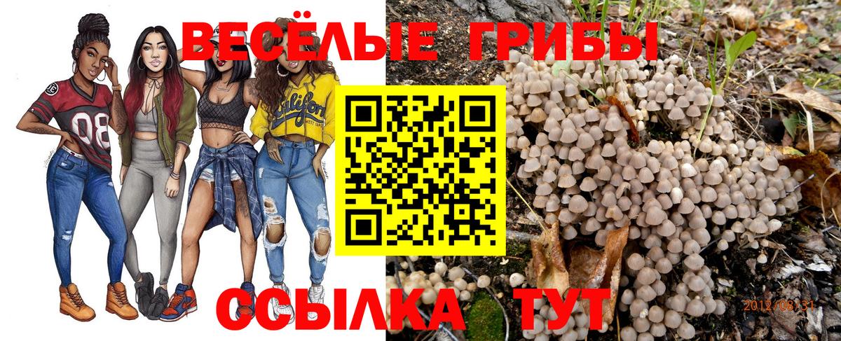 Галлюциногенные грибы мухоморы Трёхгорный